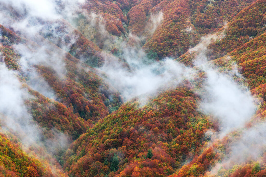 Mist rising from autumn forests in the Apennines, Italy